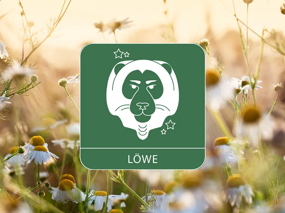 Sternzeichen Symbol Löwe vor Kamillenblumen als Symbol für das Gesundheitshoroskop 2026
