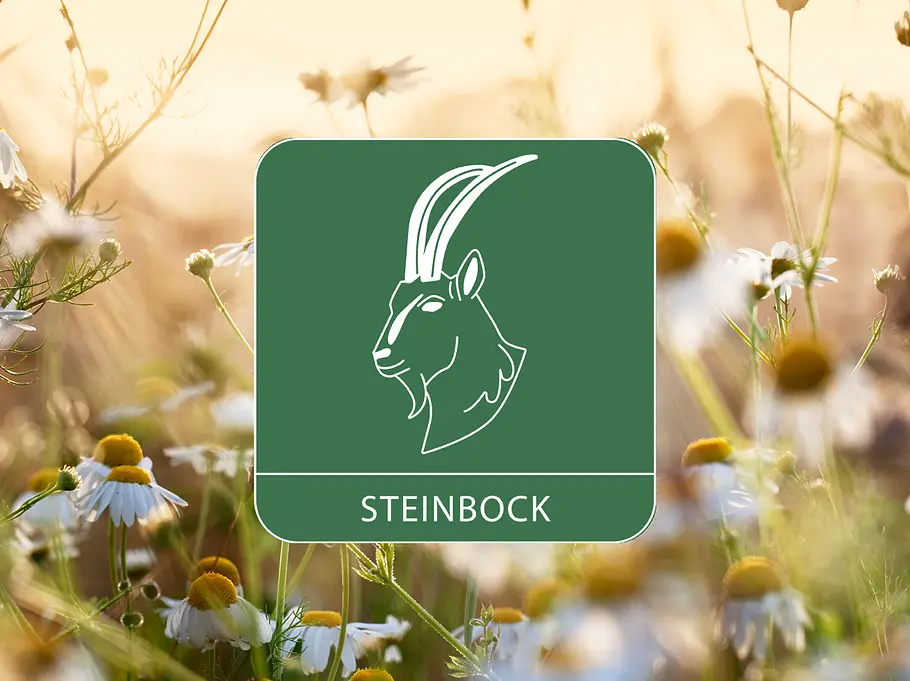 Sternzeichen Symbol Steinbock vor Kamillenblumen als Symbol für das Gesundheitshoroskop 2026