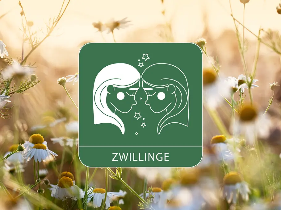 Sternzeichen Symbol Zwillinge vor Kamillenblumen als Symbol für das Gesundheitshoroskop 2026