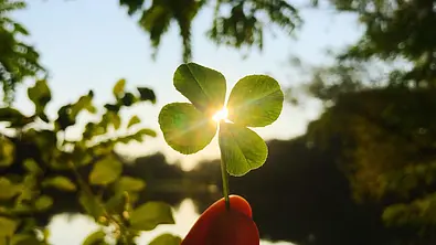 Die Sonne scheint durch ein Kleeblatt - Foto: Kateryna Kovarzh/iStock
