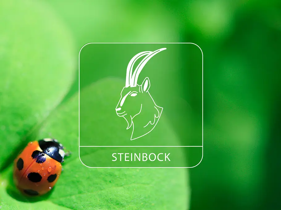 Sternzeichen Steinbock mit Marienkäfer