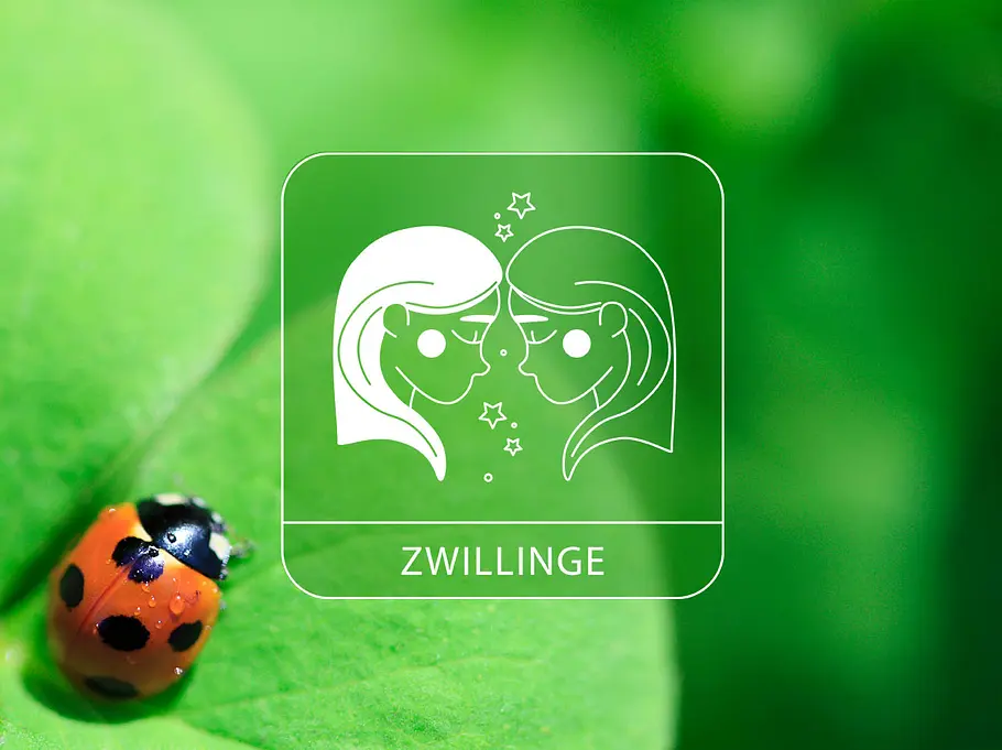 Sternzeichen Zwilling mit Marienkäfer