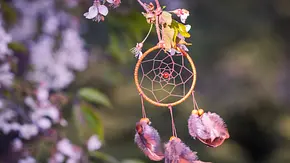 Traumfänger hängt in einem Kirschbaum - Foto: Extended License / AdobeStock Traumfänger hängt in einem Kirschbaum - Foto: Extended License / AdobeStock