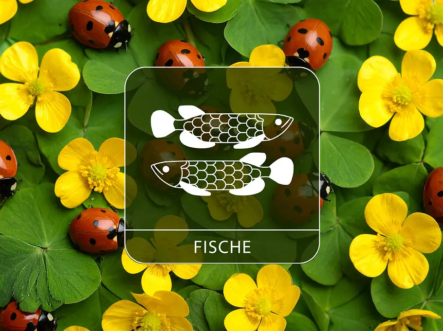 Sternzeichen Fische vor gelben Blüten, Klee und Glückskäfern.