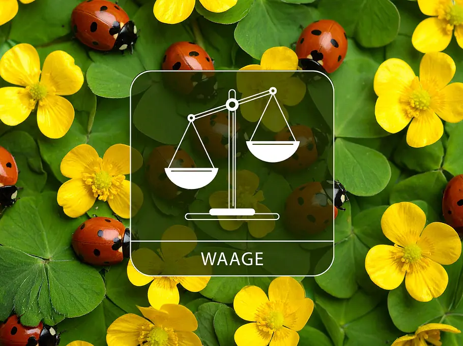 Sternzeichen Waage vor gelben Blüten, Klee und Glückskäfern.