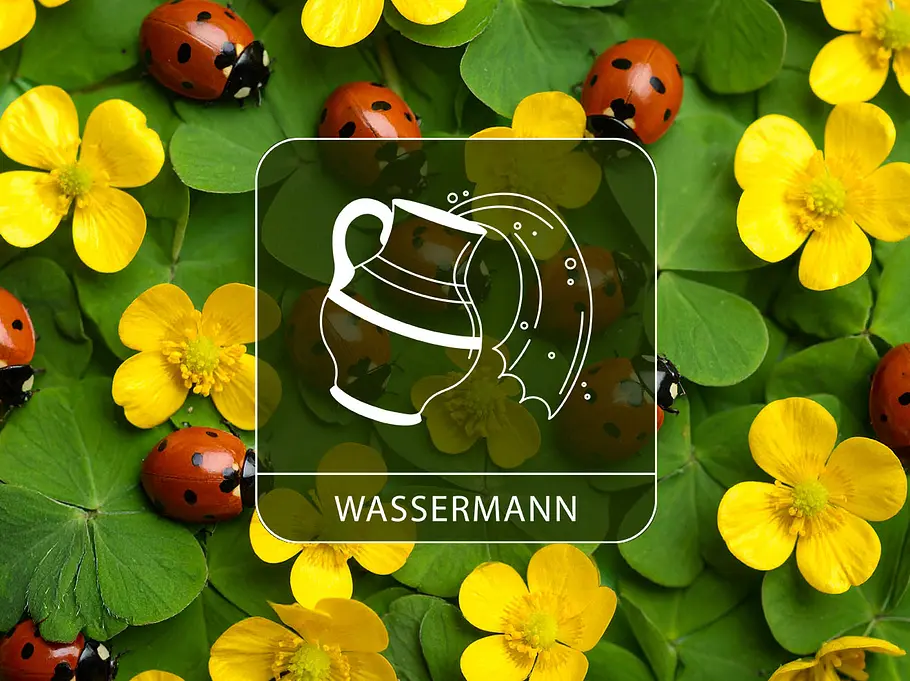 Sternzeichen Wassermann vor gelben Blüten, Klee und Glückskäfern.