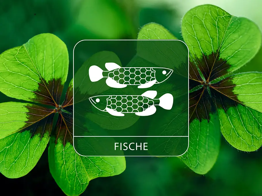 Sternzeichen Fische vor grünem Glücksklee