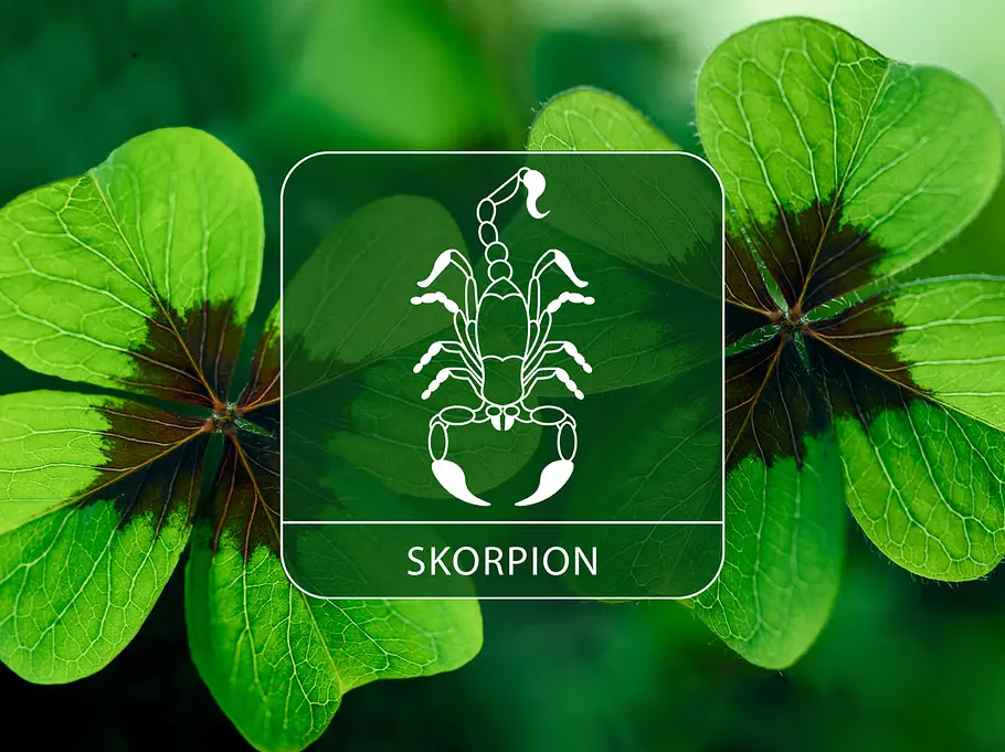 Sternzeichen Skorpion vor grünem Glücksklee