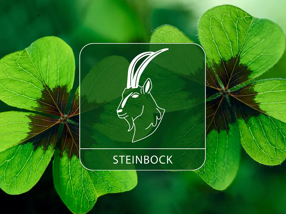 Sternzeichen Steinbock vor grünem Glücksklee