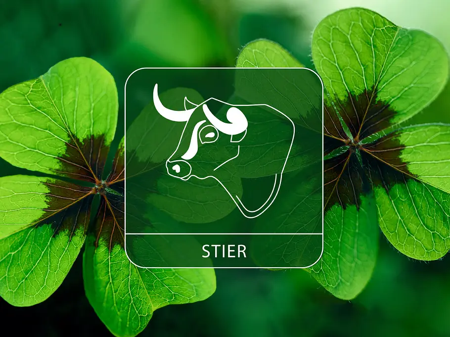 Sternzeichen Stier vor grünem Glücksklee
