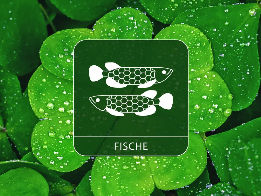 Das Sternzeichen Fische vor einem Hintergrund aus Kleeblättern voller Wassertropfen