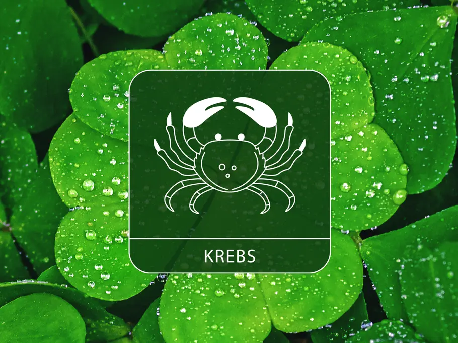 Das Sternzeichen Krebs vor einem Hintergrund aus Kleeblättern voller Wassertropfen