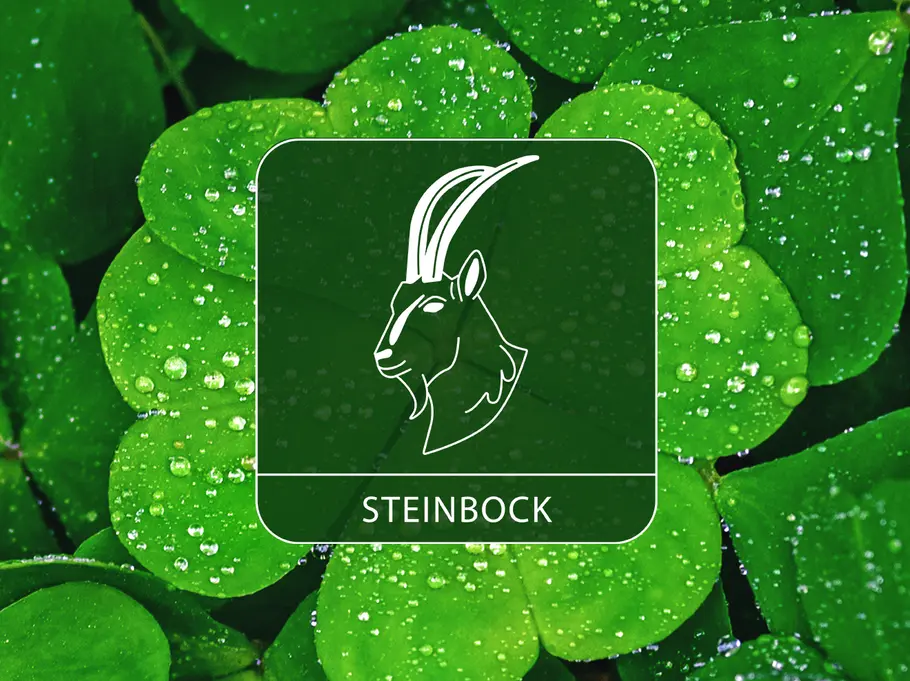 Das Sternzeichen Steinbock vor einem Hintergrund aus Kleeblättern voller Wassertropfen
