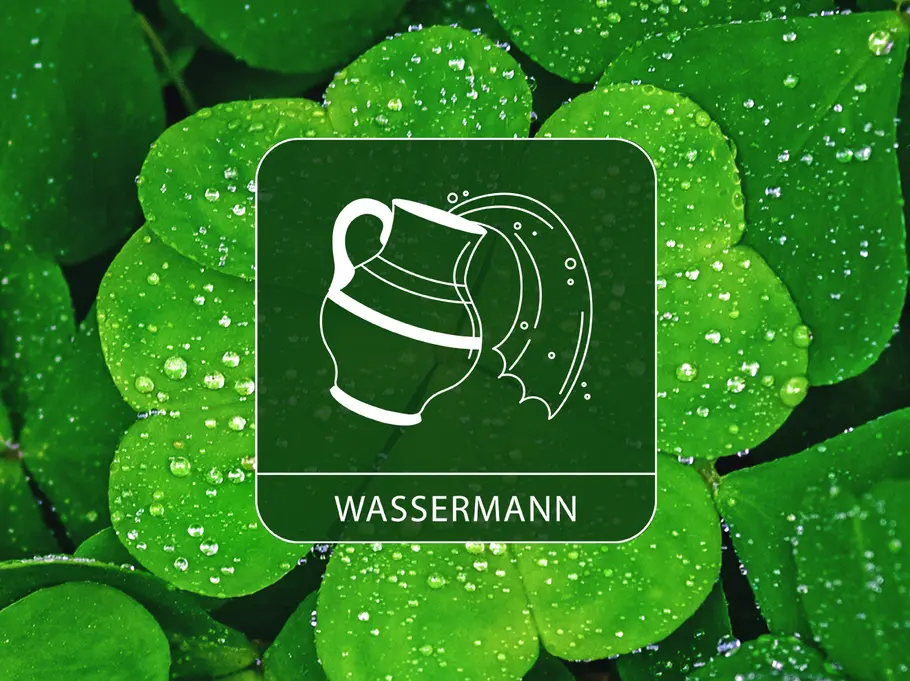 Das Sternzeichen Wassermann vor einem Hintergrund aus Kleeblättern voller Wassertropfen