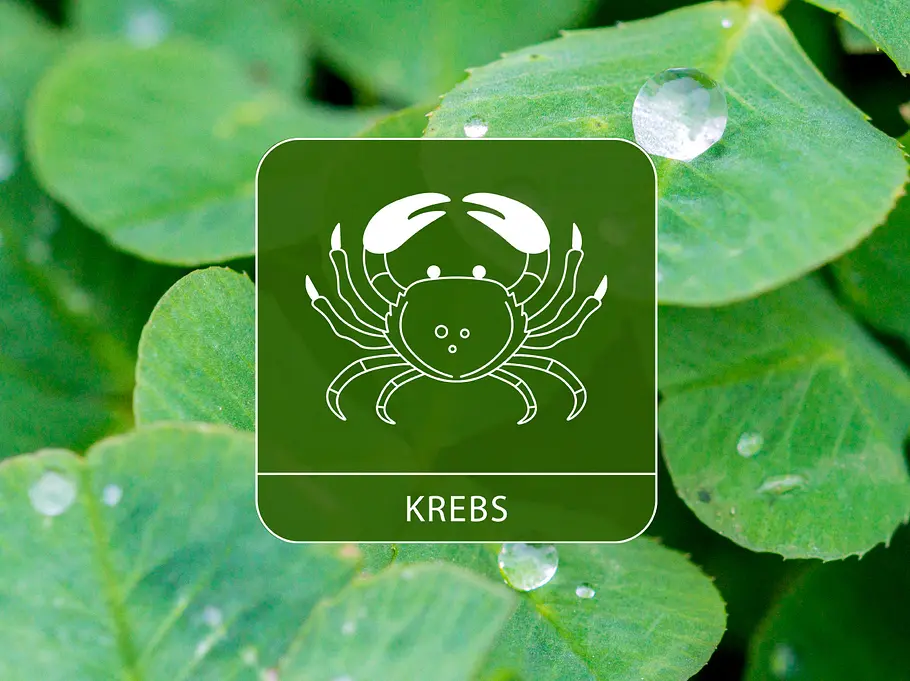 Das Sternzeichen Krebs umgeben von Kleeblättern und Regentropfen