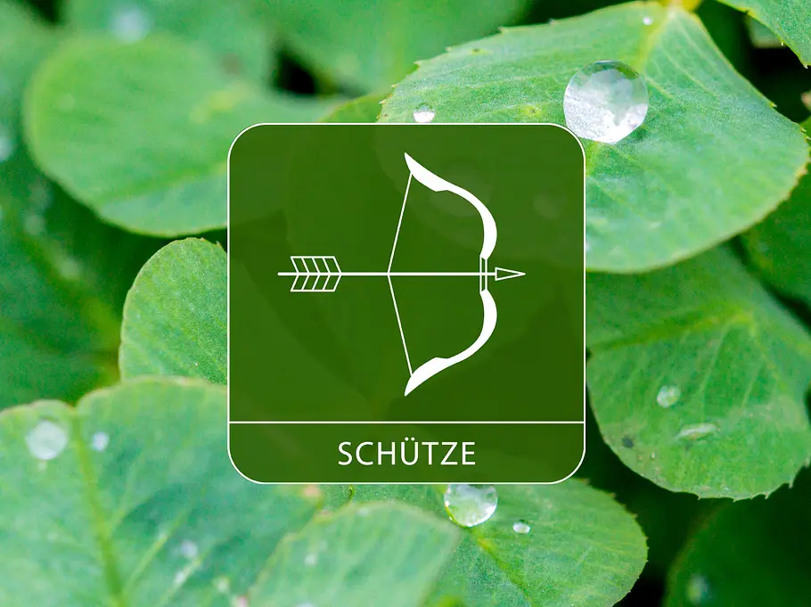 Das Sternzeichen Schütze umgeben von Kleeblättern und Regentropfen