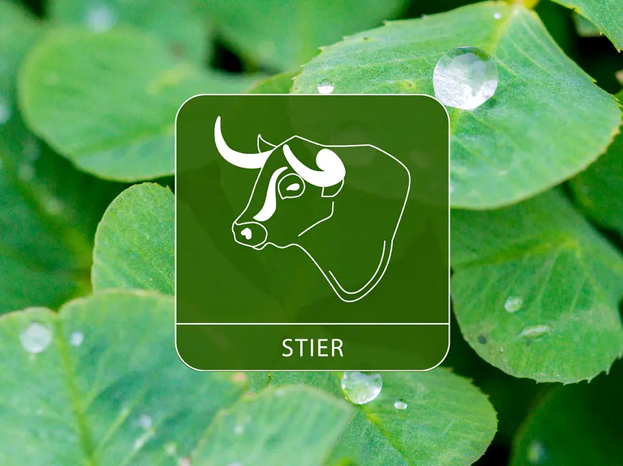 Das Sternzeichen Stier umgeben von Kleeblättern und Regentropfen