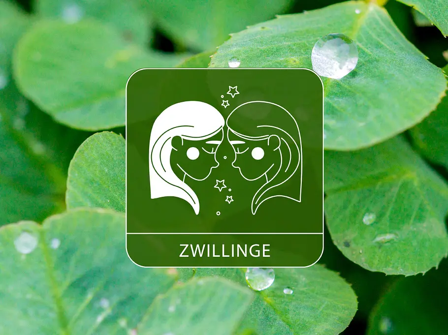 Das Sternzeichen Zwillinge umgeben von Kleeblättern und Regentropfen