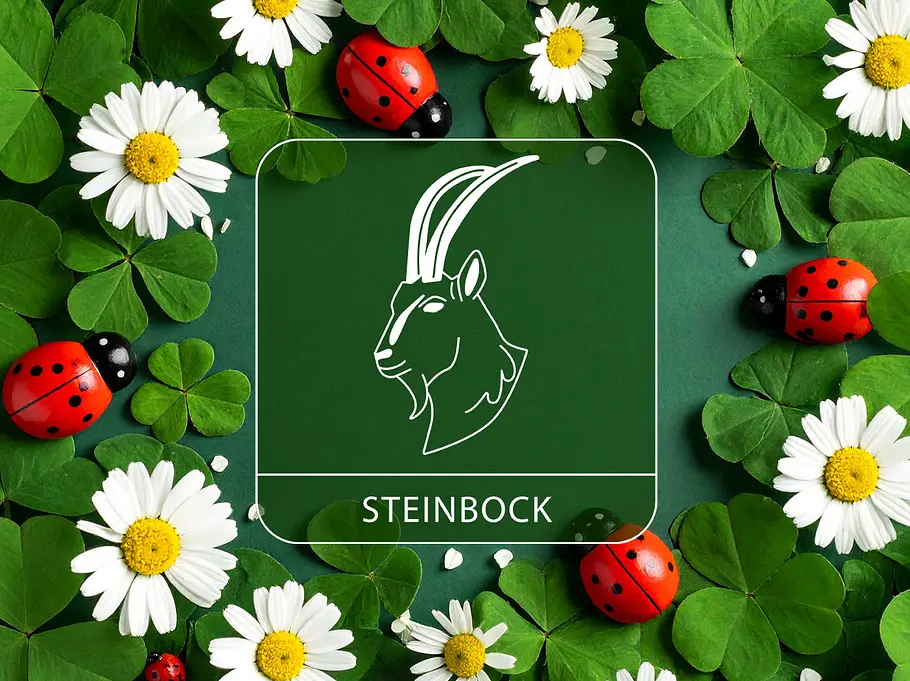 Sternzeichen Steinbock vor Glückshintergrund