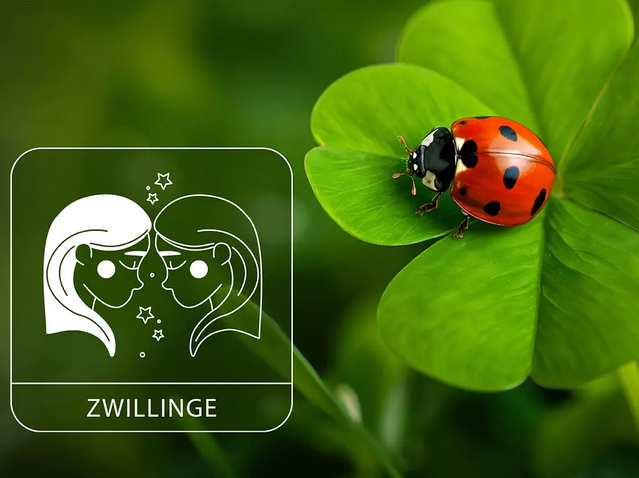 Sternzeichen Zwillinge neben einem roten Marienkäfer auf grünem Glücksklee