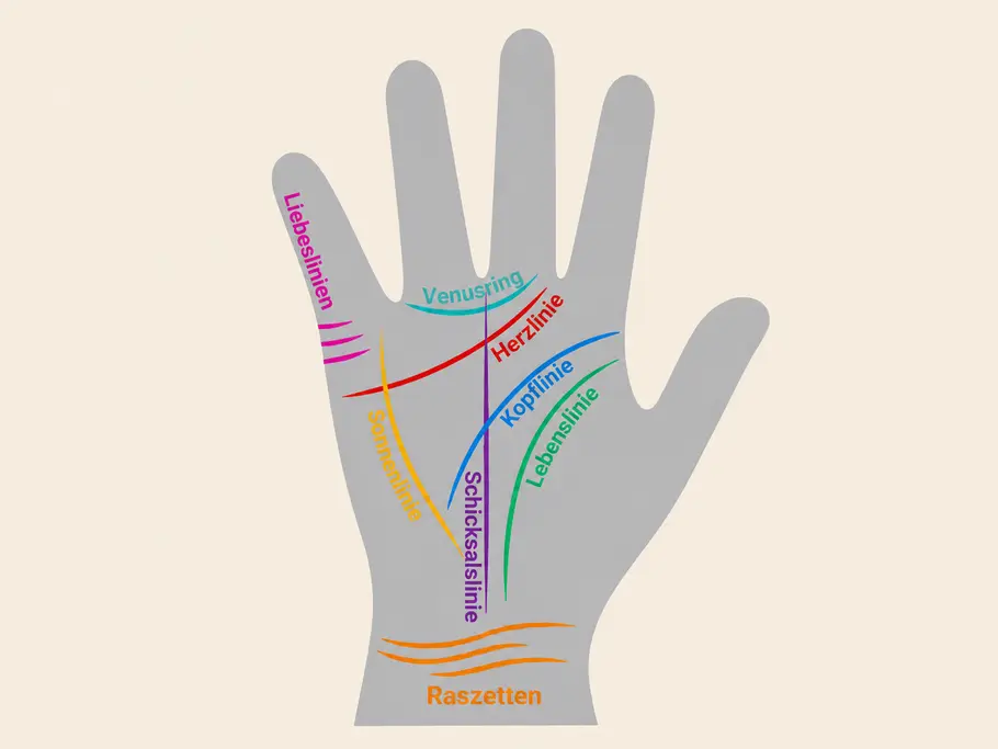 Abbildung einer Hand mit allen Handlinien