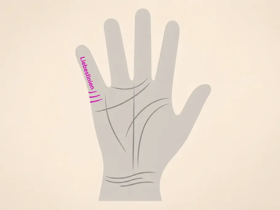 Abbildung einer Hand mit pink eingezeichneten Liebeslinien