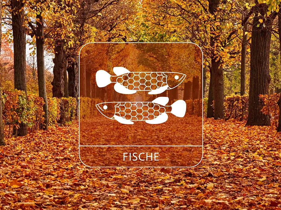 Abbildung vom Sternzeichen Fische in einem Herbstpark