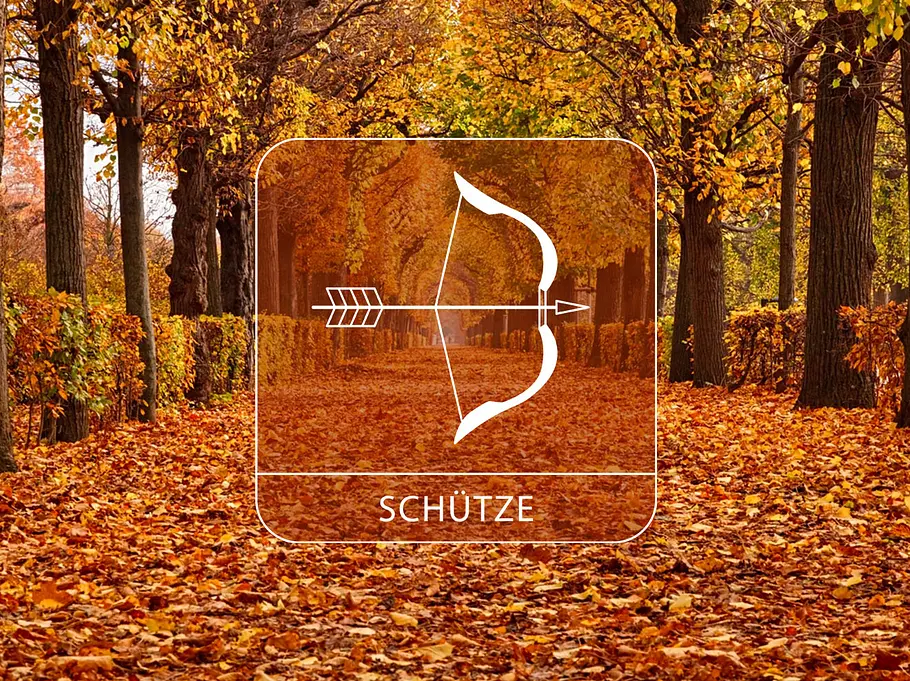 Abbildung vom Sternzeichen Schütze in einem Herbstpark