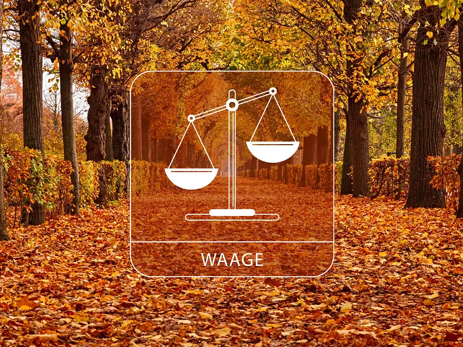 Abbildung vom Sternzeichen Waage in einem Herbstpark