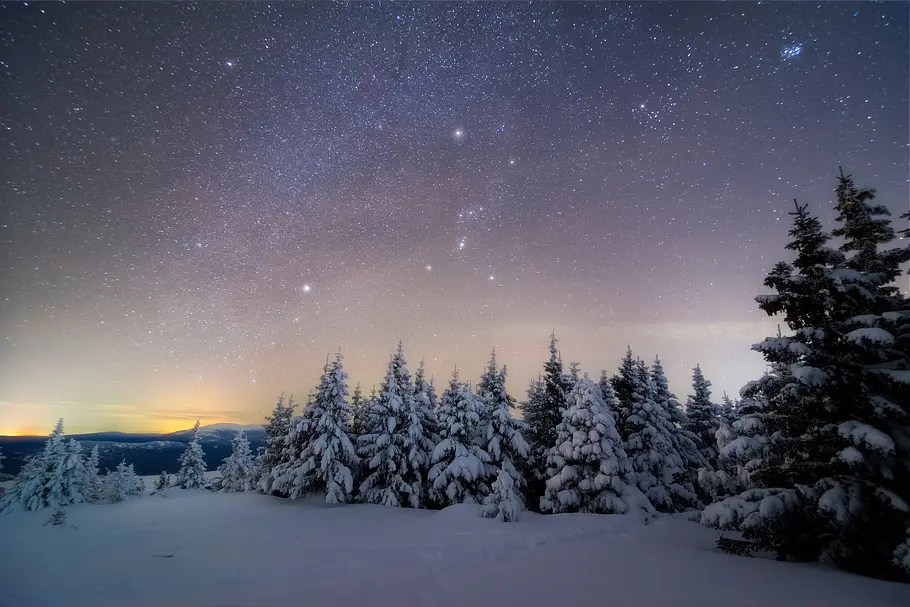 Verschneite Tannen vor einem hellen Sternenhimmel.