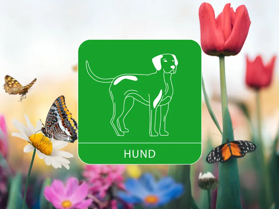 Das Sternzeichen Hund umgeben von einer Blumenwiese und Schmetterlingen