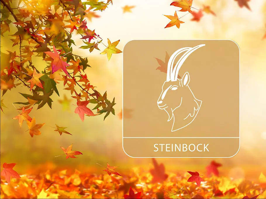 Sternzeichen Steinbock vor einem herbstlichen, goldenen Hintergrund