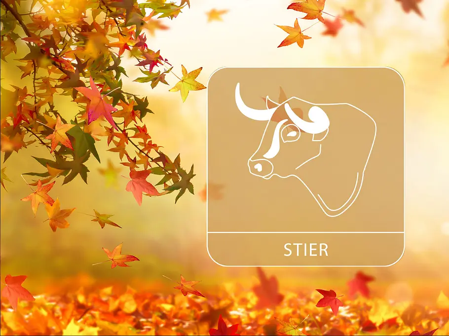 Sternzeichen Stier vor einem herbstlichen, goldenen Hintergrund