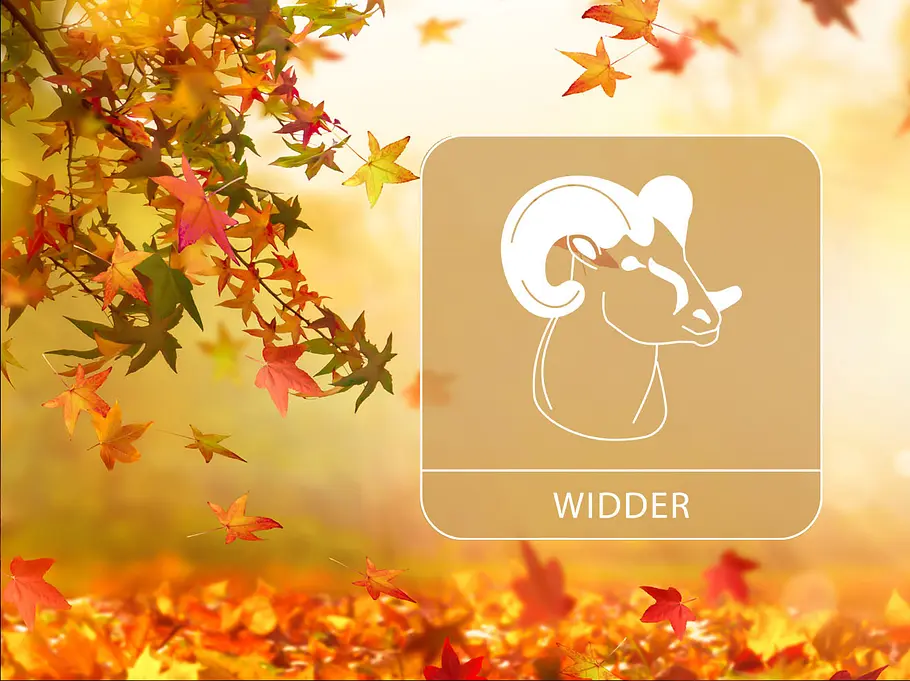 Sternzeichen Widder vor einem herbstlichen, goldenen Hintergrund