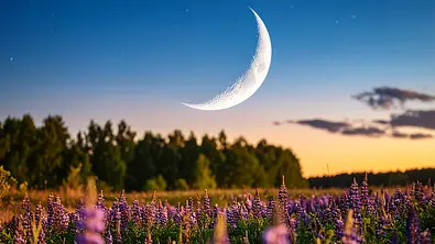 Dünne Mondsichel steht über einer Blumenwiese - Foto: AdobeFirefly (generiert mit KI)