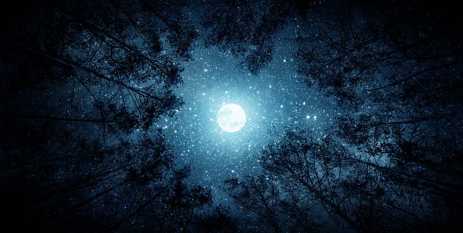 Leuchtender Vollmond steht von Bäumen umringt am sternenreichen Himmel