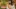 Video Platzhalter Video Platzhalter