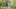 Video Platzhalter Video Platzhalter