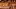 Video Platzhalter Video Platzhalter