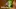 Video Platzhalter Video Platzhalter