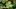 Video Platzhalter Video Platzhalter