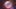 Video Platzhalter Video Platzhalter