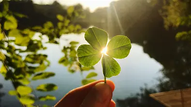 Jemand hält ein vierblättriges Kleeblatt in der Hand - Foto: iStock/Kateryna Kovarzh
