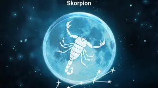 Das Sternzeichensymbol für den Skorpion vor einem Vollmond als Symbol für das Mond-Jahr 2027 - Foto: Collage mit iStock/ Lidiia Moor, iStock/ Rudzhan Nagiev, iStock/ ipopba und Astrowoche.de