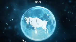 Das Sternzeichensymbol für den Stier vor einem Vollmond als Symbol für das Mond-Jahr 2027 - Foto: Collage mit iStock/ Lidiia Moor, iStock/ Rudzhan Nagiev, iStock/ ipopba und Astrowoche.de