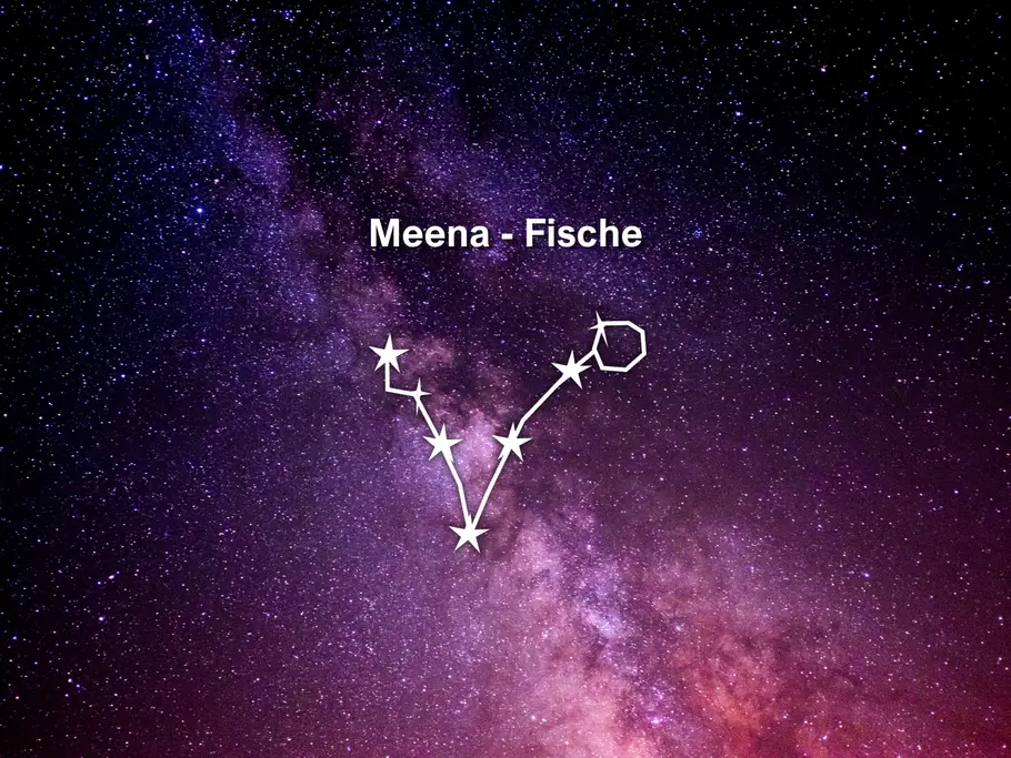 Das Sternbild Fische ist mit weißen Linien und Sternen auf einem violettem Sternenhimmel dargestellt, darüber steht „Meena - Fische“.