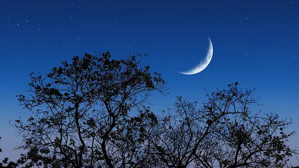 Neumond am dunklen Sternenhimmel, über einem Baum. - Foto: Hiran Naskar/iStock Neumond am dunklen Sternenhimmel, über einem Baum. - Foto: Hiran Naskar/iStock