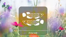 Sternzeichengrafik auf Blumenwiese - Foto: Collage mit iStock/borchee und Astrowoche.de