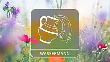 Sternzeichengrafik auf Blumenwiese - Foto: Collage mit iStock/borchee und Astrowoche.de