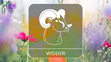 Sternzeichengrafik auf Blumenwiese - Foto: Collage mit iStock/borchee und Astrowoche.de